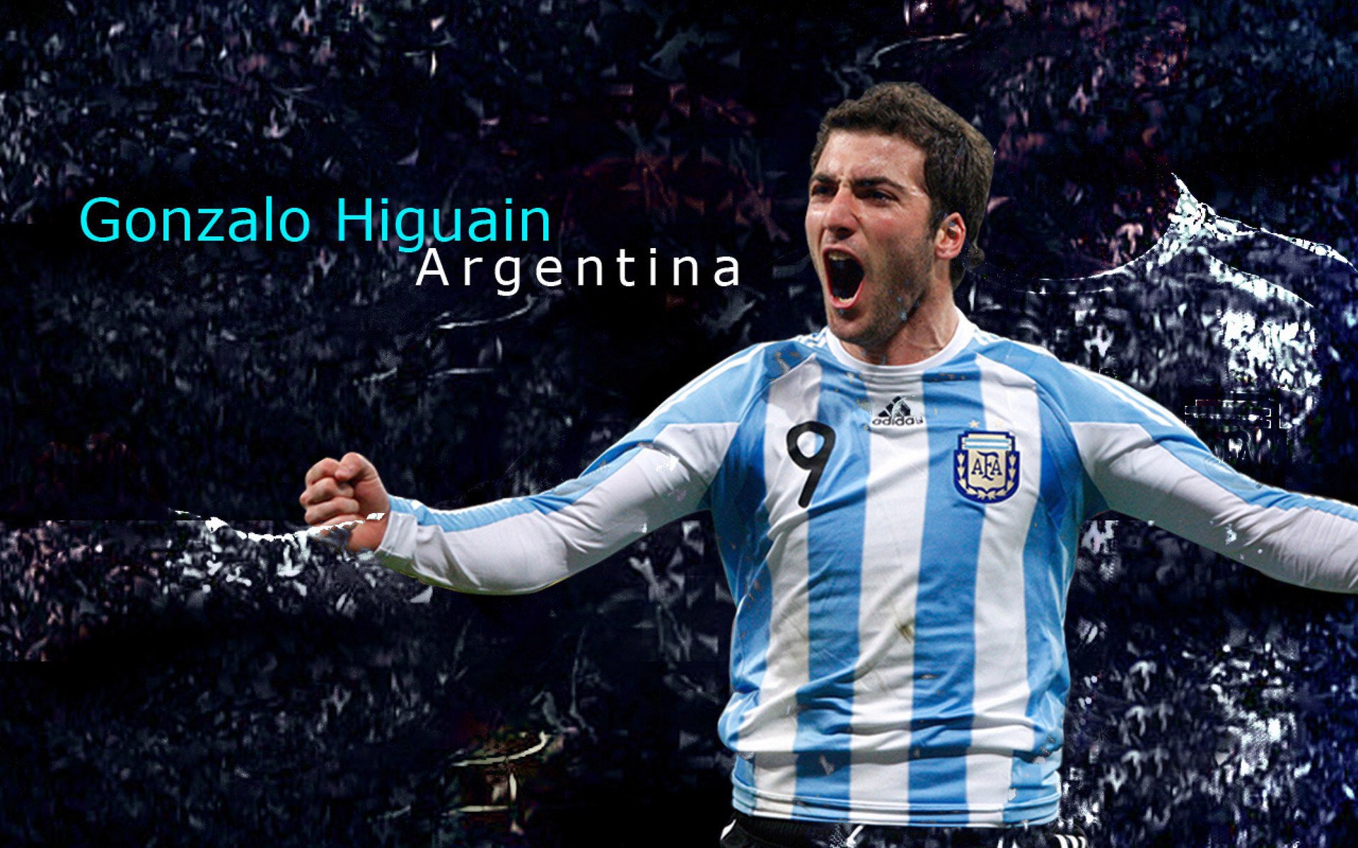 猛龙对阵奇才,武切维奇点燃赛场,全能中锋主宰攻防